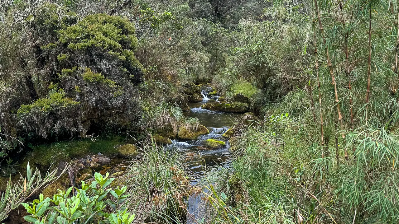 Parque Nacional Natural Chingaza Parque Natural Nacional Chingaza